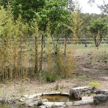 Villa Villekulla dépendance avec spa privatif Le Plan-de-la-Tour Esterno foto