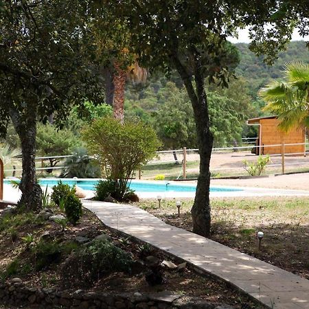 Villa Villekulla dépendance avec spa privatif Le Plan-de-la-Tour Esterno foto