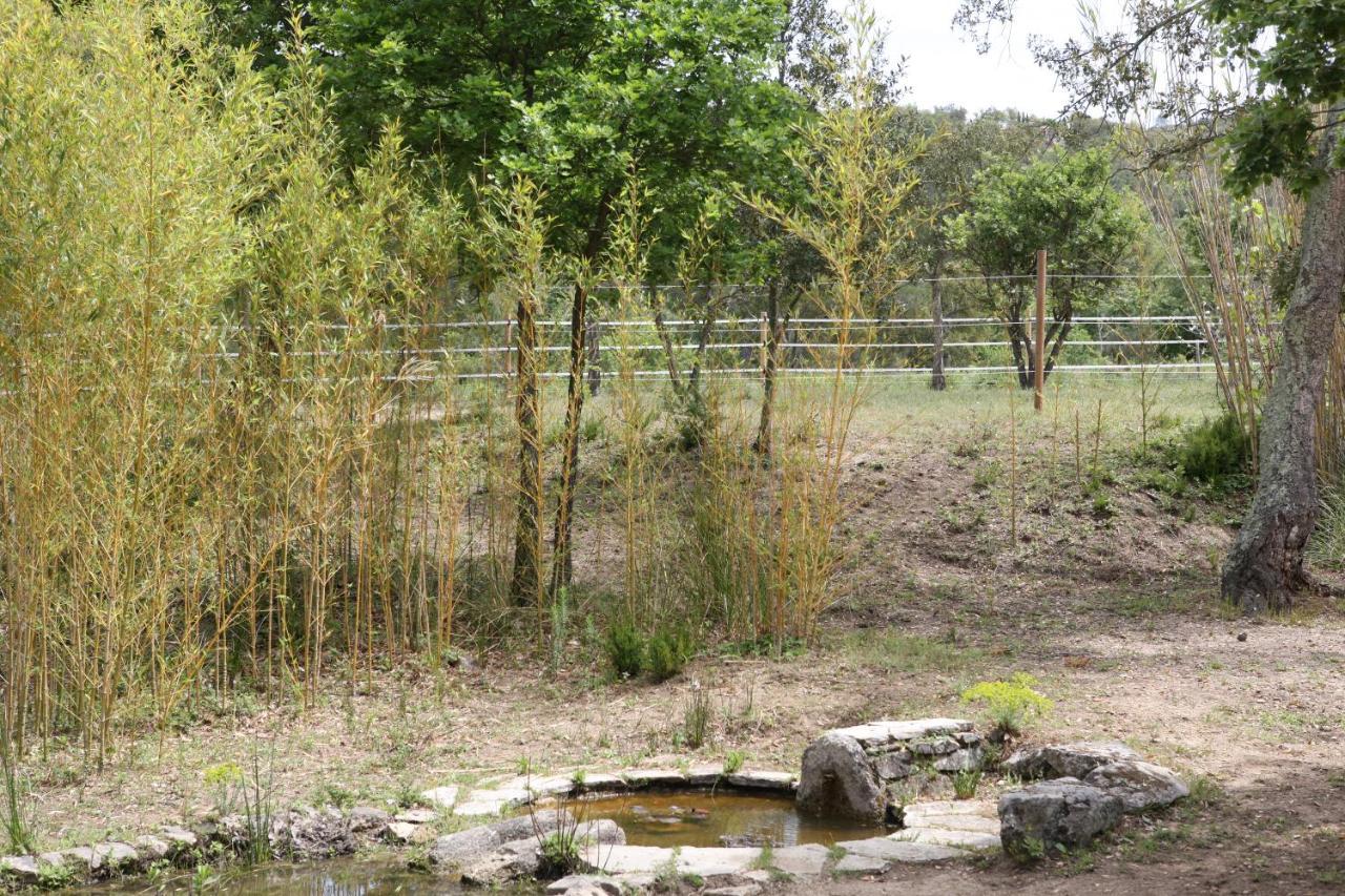 Villa Villekulla dépendance avec spa privatif Le Plan-de-la-Tour Esterno foto