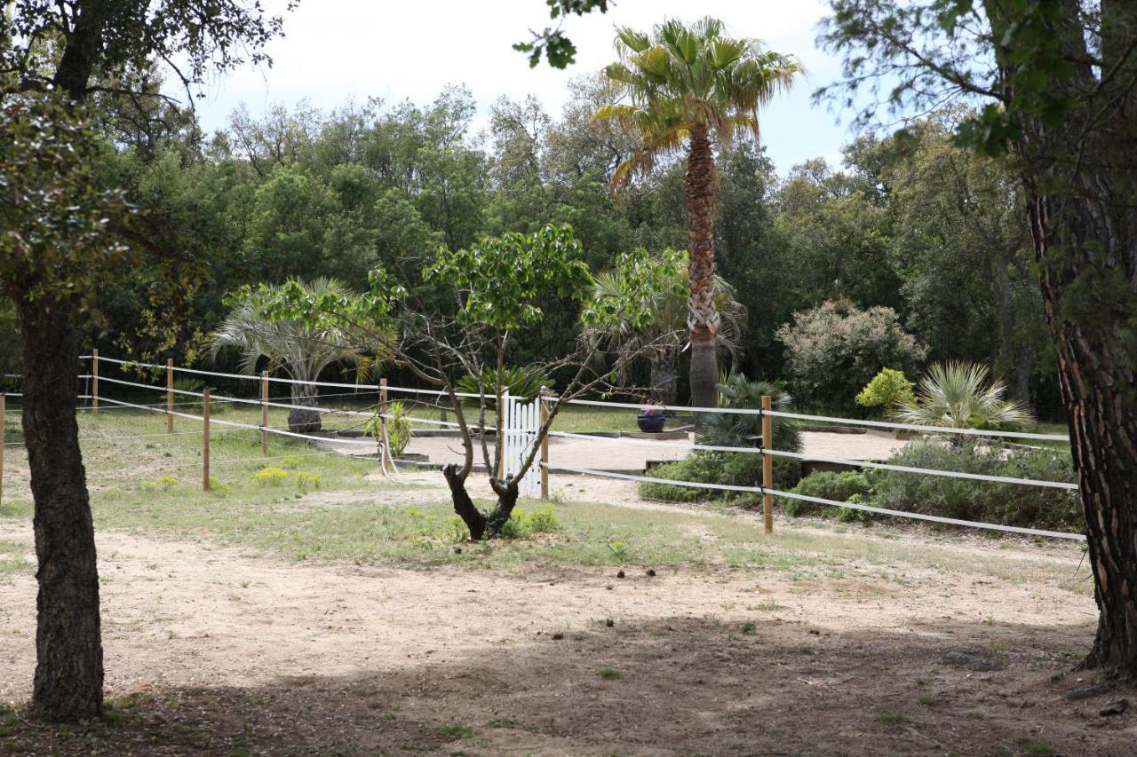 Villa Villekulla dépendance avec spa privatif Le Plan-de-la-Tour Esterno foto