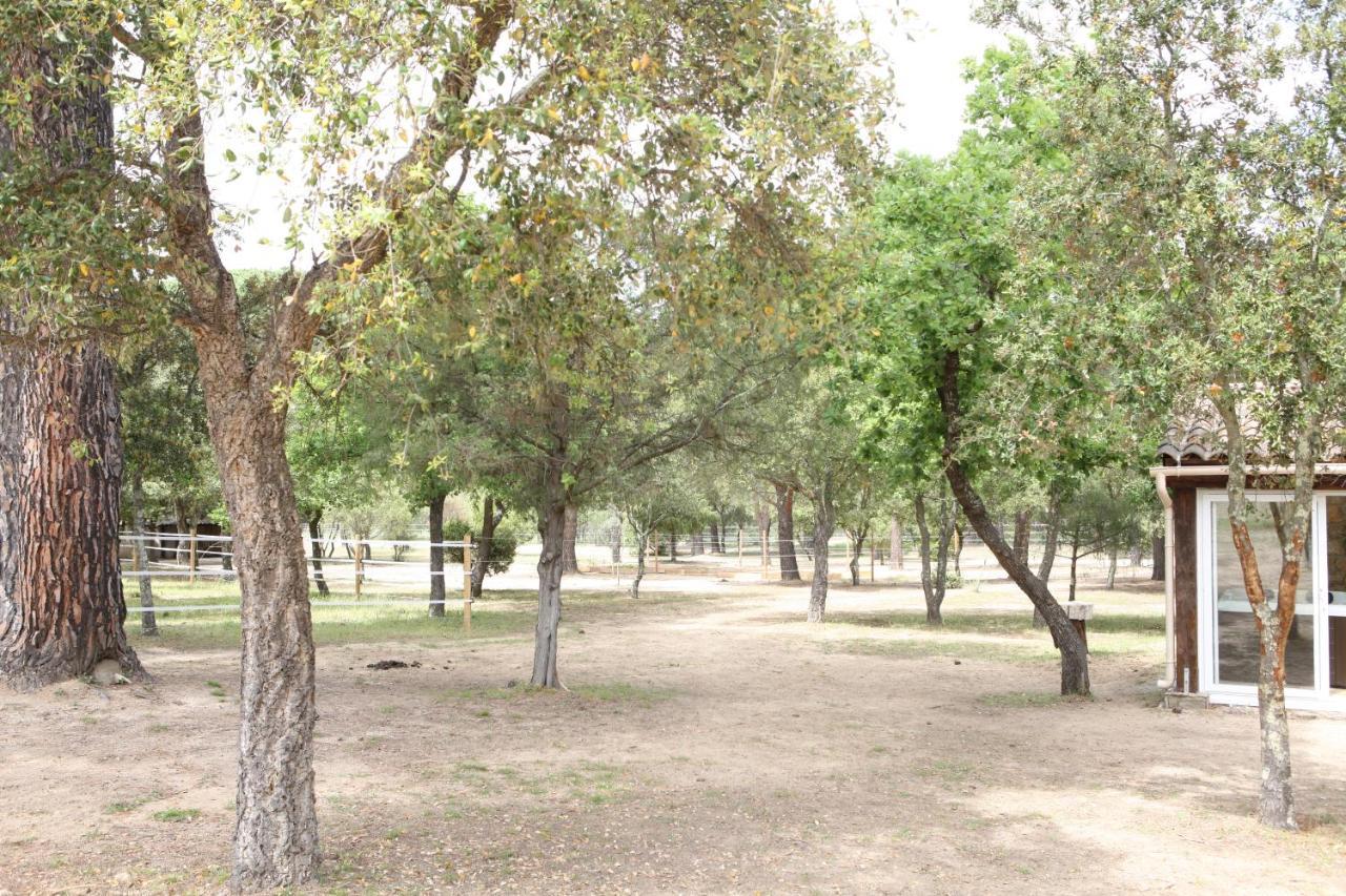 Villa Villekulla dépendance avec spa privatif Le Plan-de-la-Tour Esterno foto