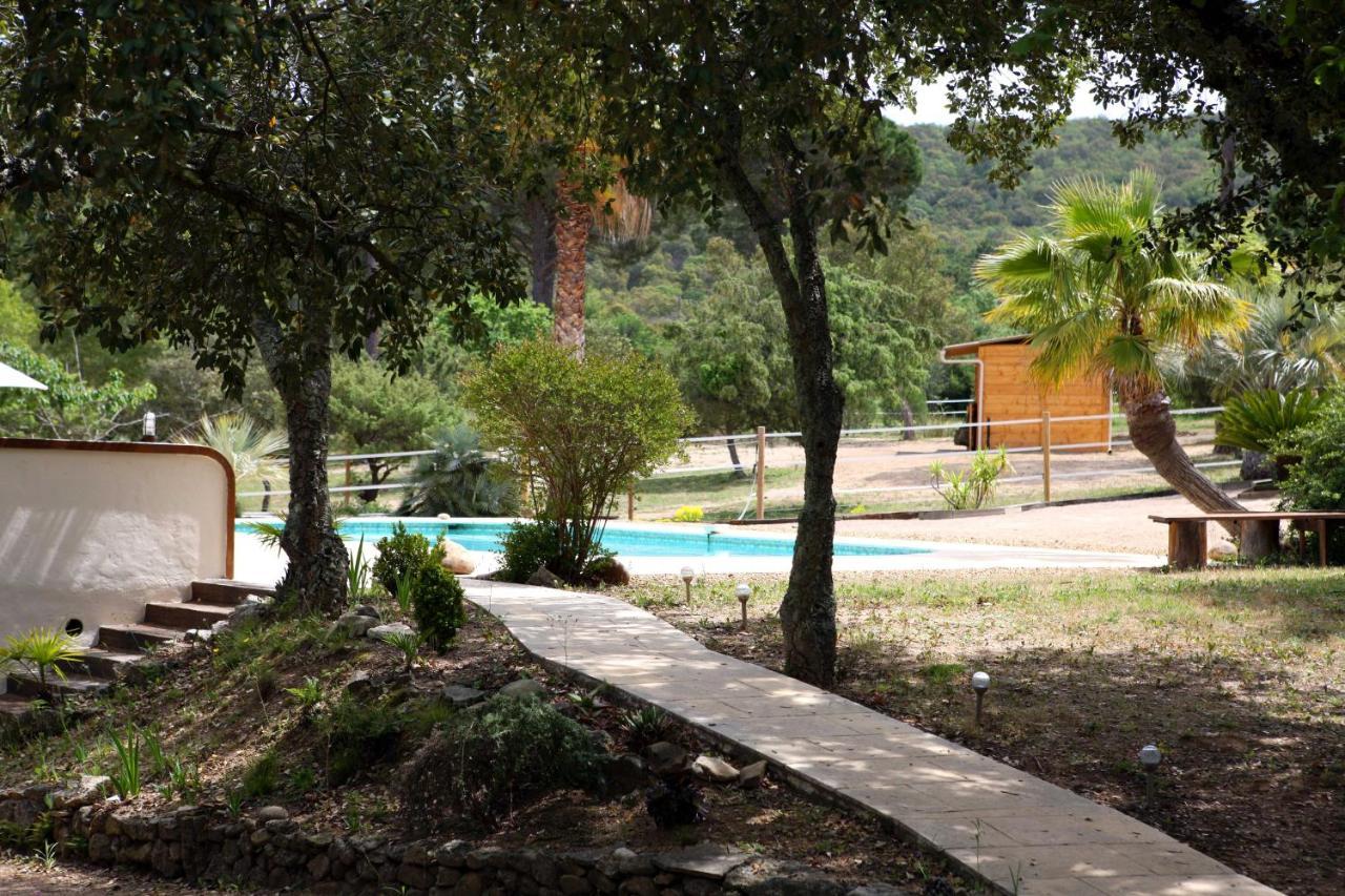 Villa Villekulla dépendance avec spa privatif Le Plan-de-la-Tour Esterno foto