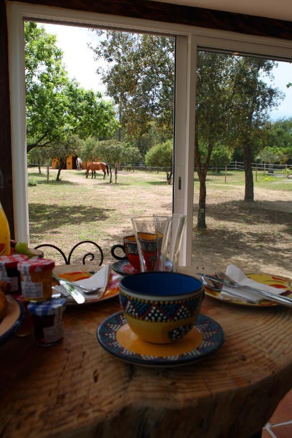 Villa Villekulla dépendance avec spa privatif Le Plan-de-la-Tour Esterno foto